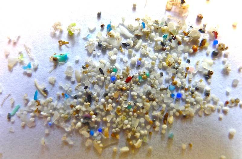 Greenpeace-onderzoeker over microplastics: 'Hoe zichtbaarder het probleem, hoe groter de kans dat we actie ondernemen'