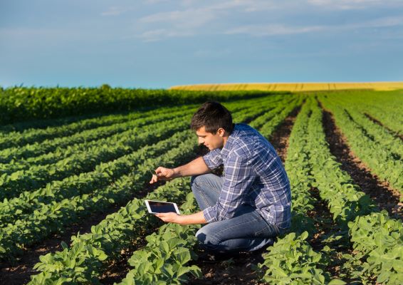 Groot aanbod NIR analyzers voor precisielandbouw