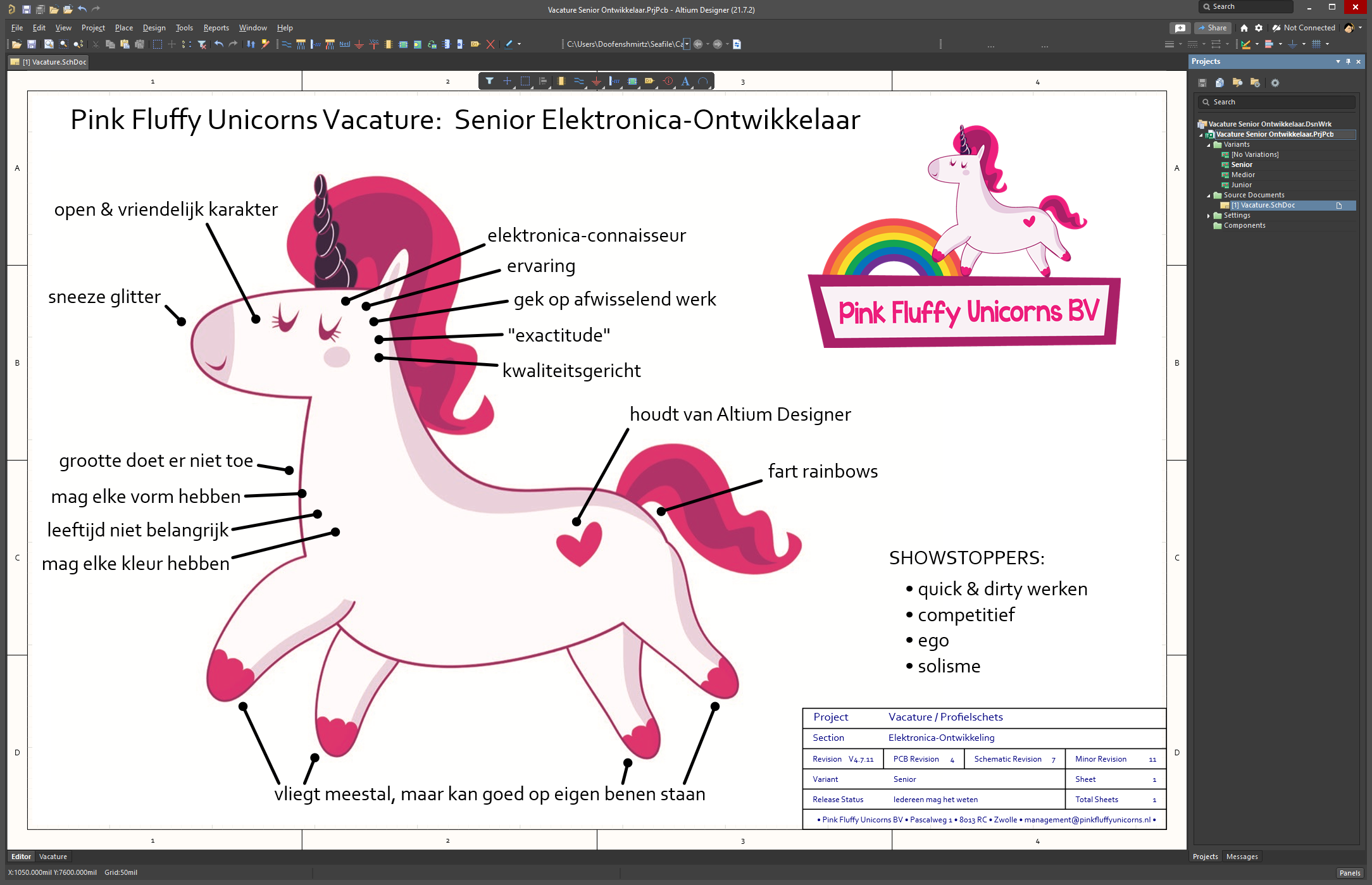 Gezocht: Senior Technical Unicorn